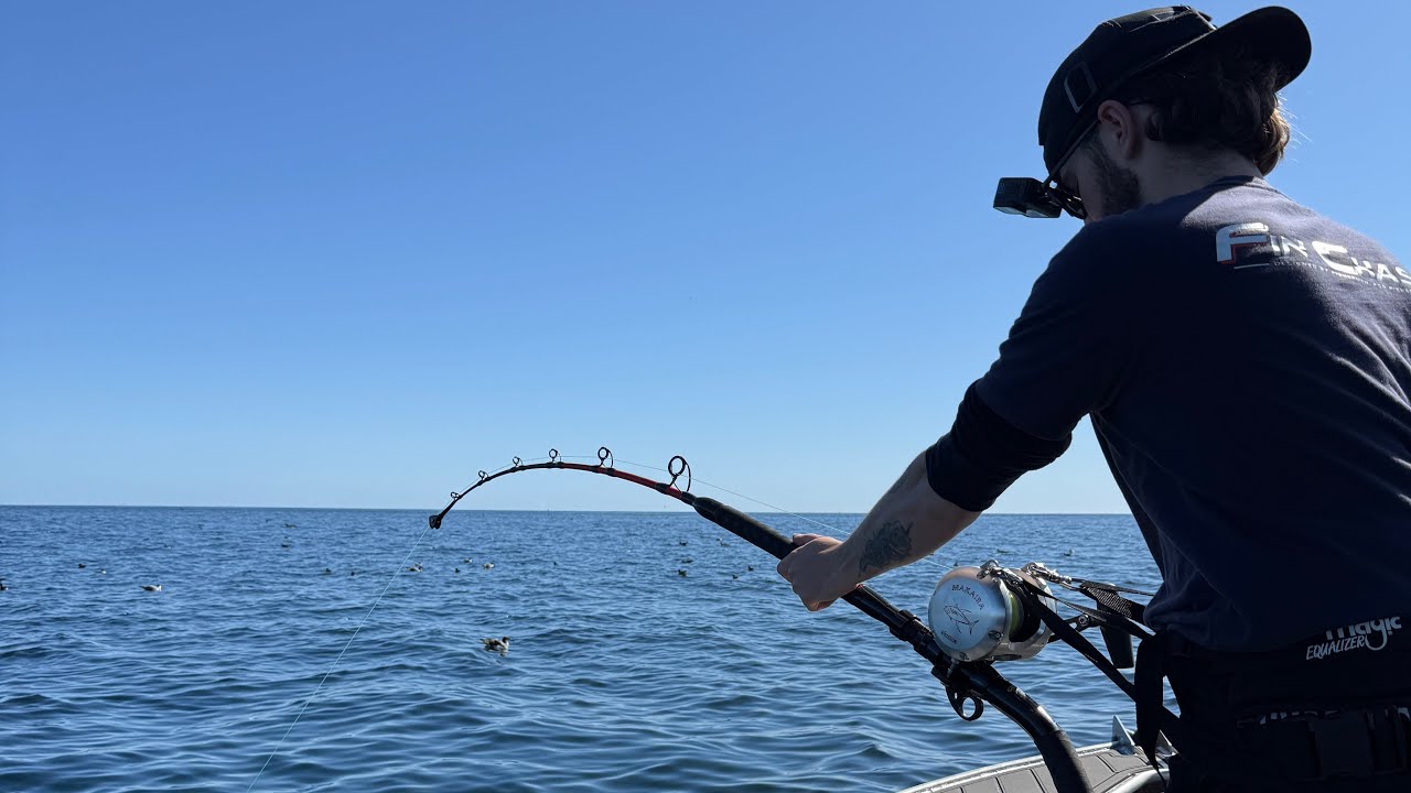 День 2. Рыбалка на гигантского голубого тунца в заливе островов Новой Зеландии — на 5,5-метровой ...