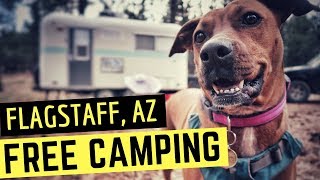 FREE CAMPING in Flagstaff, Arizona ⛺😻 Full Time RV Life & Cheap RV Living 💯 Boondocking in Arizona