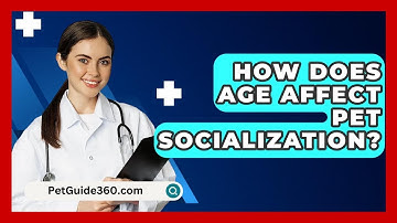 How Does Age Affect Pet Socialization? - PetGuide360.com