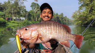 ഈ പുഴയിൽ ഇത്രയും വലിയ മീൻ ഉണ്ടോ... ❓️| mangrovjack fishing | chempalli fishing | red snapper fishing