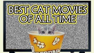 BEST CAT MOVIES OF ALL TIME by Aiamazing Top 10 36 views 1 year ago 7 minutes, 22 seconds