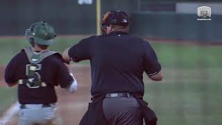 Ohio Baseball: WrenFest!