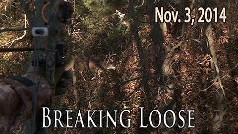Midwest Whitetail | Bowhunting the Rut: Action Packed Iowa Deer Hunts