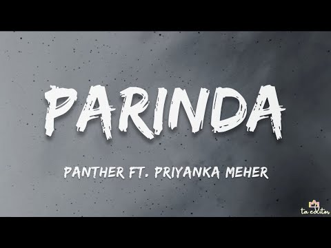 Panther   Parinda Lyrics Ft Priyanka Meher  Flying Towards The City Mixtape
