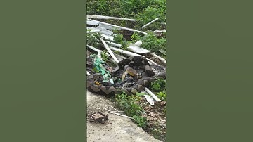 Trăn khổng lồ dài 4 mét nuốt chửng 8 con gà! Lính cứu hỏa khẩn cấp ra tay 🧯🐍 #snake #randoc #shorts