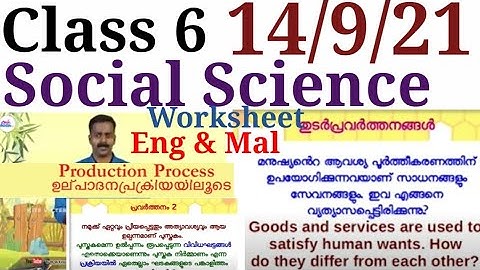 Class 6 Social Science Worksheet 14/9/21|STD 6 Social Science Worksheet 14/9/21|Activities|@educutz131