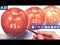 【描き方解説】🍎水彩でリアルなりんごを描く！描き方・コツや考え方　初心者さん向け