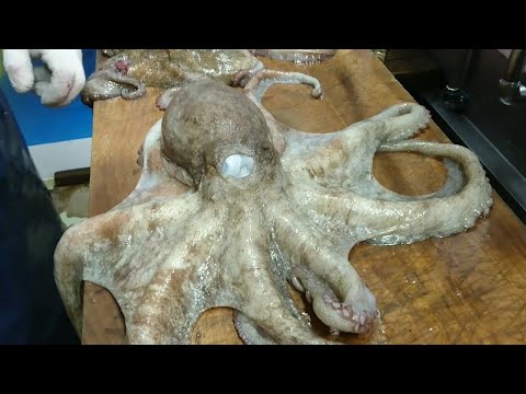 Video: Hoe Een Octopus Te Slachten?