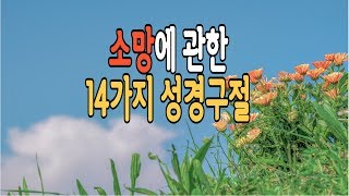 [매일말씀]소망본향 - 소망에 관한 핵심 14가지 성경구절