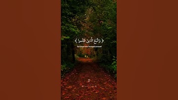 ﴿ وَاصْبِرْ فَإِنَّ اللَّهَ لَا يُضِيعُ أَجْرَ الْمُحْسِنِينَ﴾. ‎ القارئ اسلام صبحي🎧❤️‍🩹