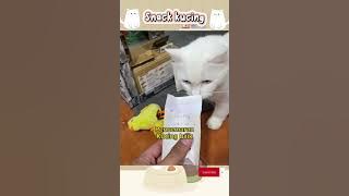SNACK KUCING FULL VIDEO #warungkucing #kucing #viral #trending #cat #catlove #catlover