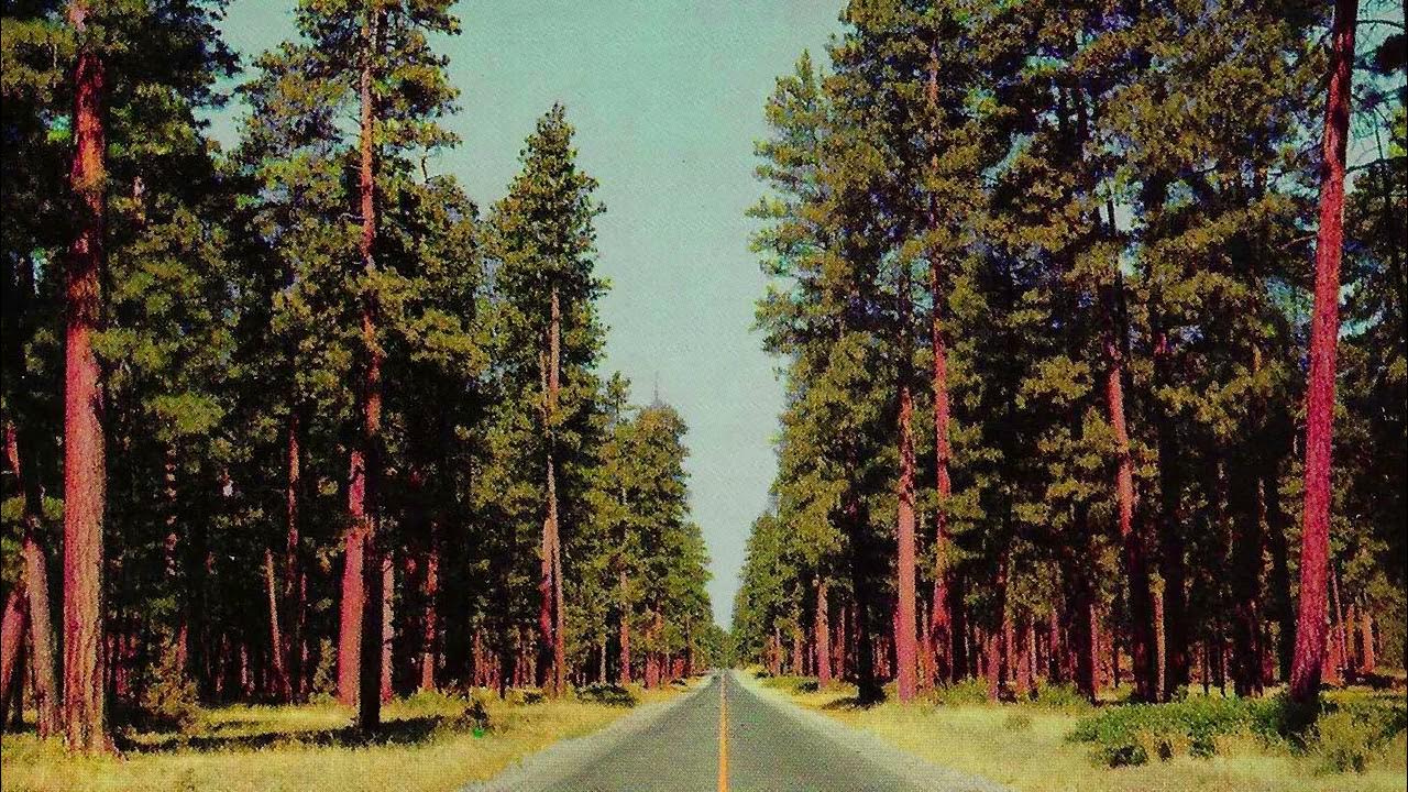 Tricky Ponderosa YouTube