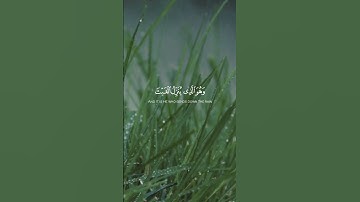 #تلاوات #اكسبلور #قرآن #explore #قران_كريم