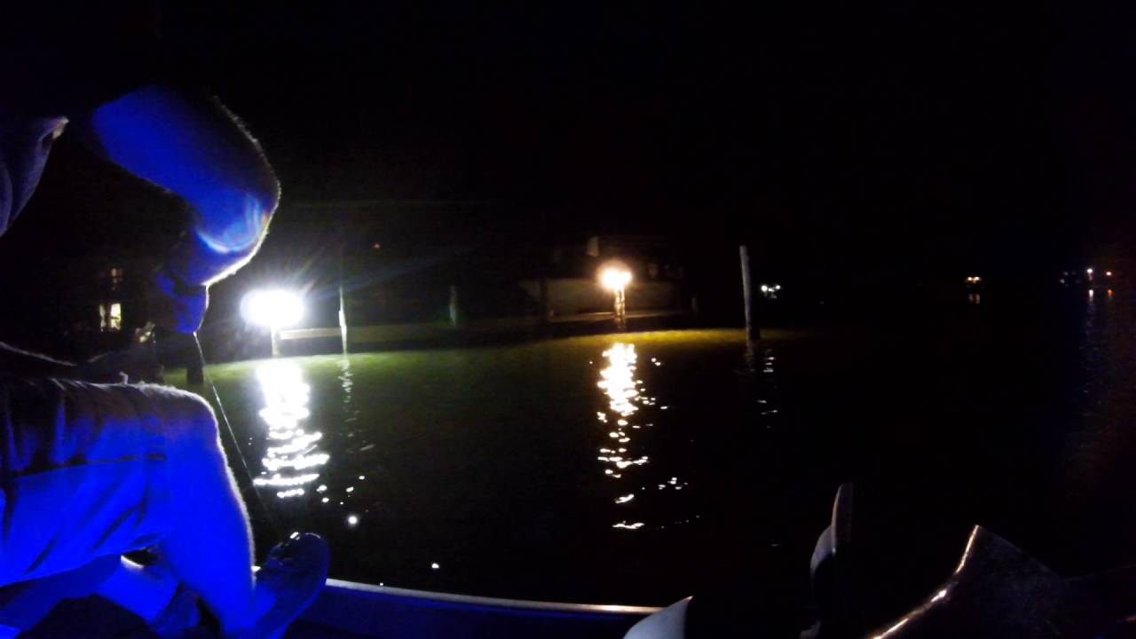Fishing Dock Lights at Dauphin Island, AL YouTube