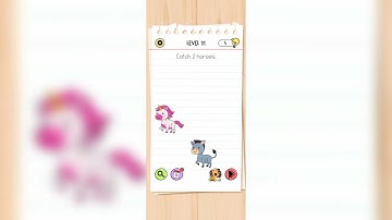 brain test all star level 31