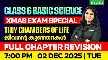 Class 6 Basic Science | Christmas Exam Special | Tiny Chambers of Life – ജീവന്റെ കുഞ്ഞറകൾ