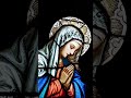 Hail Mary🙏 #prayer#catholic#hailmary#amen#church#visayas#iloilo#luzon#olongapo#fyp#2026#repentance