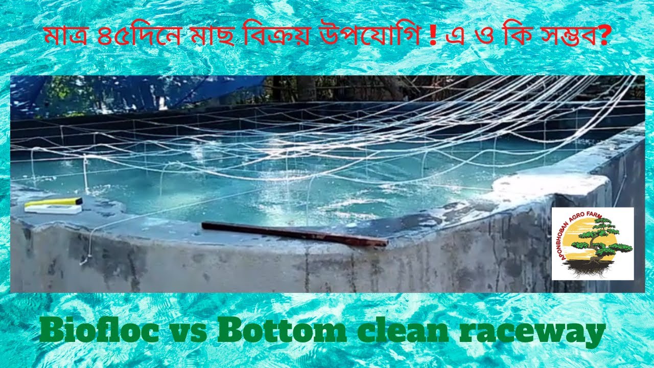 Biofloc vs Bottom clean raceway #315#