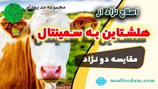 پرورش و نگهداری گاو شیری - مشاوره در واتساپ، تلگرام و ایتا 3211 373 0919