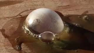 COOL! Watch soap bubbles freeze in real time - ABC15 Digital