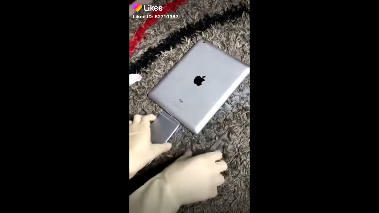 ifamily for mac