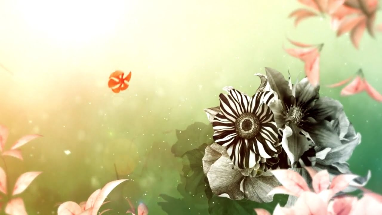 Farmhouse Video - Fashion/Art Promo