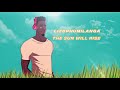 Sun-EL Musician ft Msaki - Ubomi Abumanga ( Lyric Video )