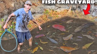 Saving Fish Abandoned in FLOODED MUD PIT!
