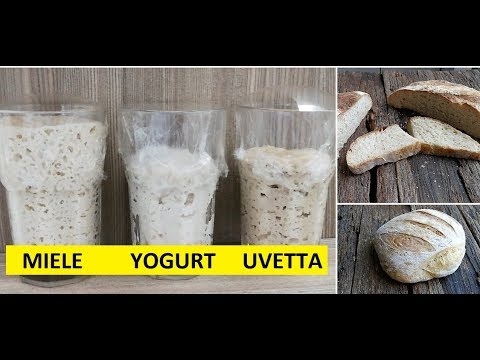 Video: Come Fare Il Kvas Fatto In Casa Dalla Pasta Madre Secca?