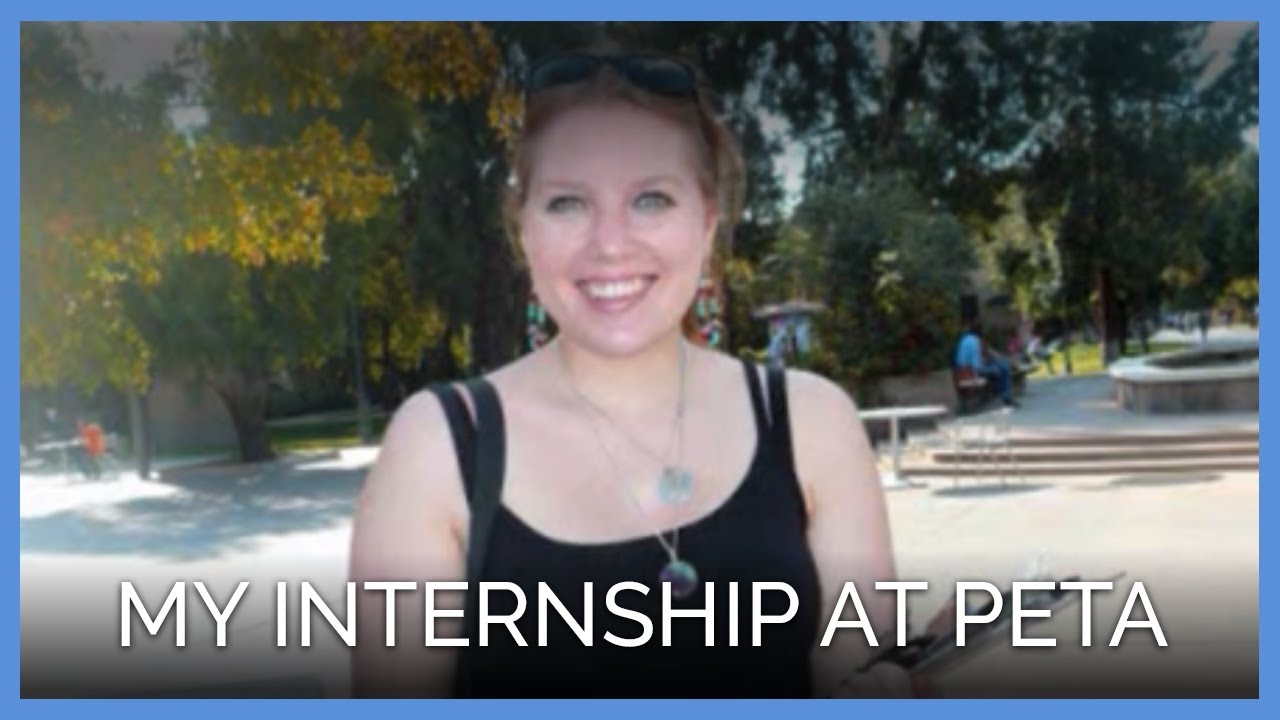 My Internship at PETA - YouTube