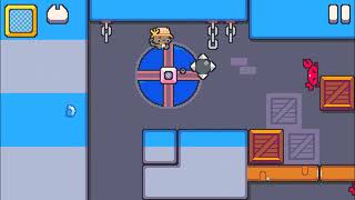 Super Cat Tales PAWS BONUS VIDEO - HELLO MORNING STAR ⭐ [COLLISION GLITCH] | SKILLGAMING ✔️ screenshot 5