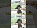 我將擁護這個小yoojun成為 11男一 #yoojun #育兒日記 #txt #kpop #萌娃1