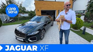Jaguar XF, czyli lepszy kot w garści, niż Niemiec na dachu! (TEST PL 4K) | CaroSeria