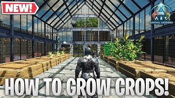 How To Grow Crops - Ark Survival Ascended
