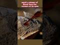 This Lizard Shoots Blood From Its Eyes… Here’s Why 😳🦎