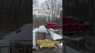 Maple syrup #maple #homestead #maplestory
