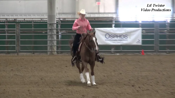 Allison Boswell & FS My Lucky Gunner - Youth at CP...