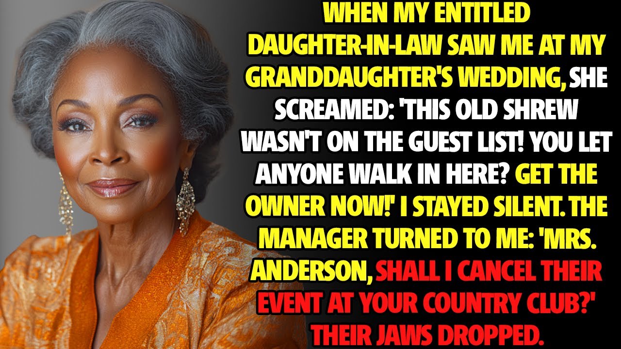 She called me a poor old woman at the wedding… then discovered I OWNED the venue!