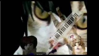 Video thumbnail of "Oh No, My Kitty is EMO"