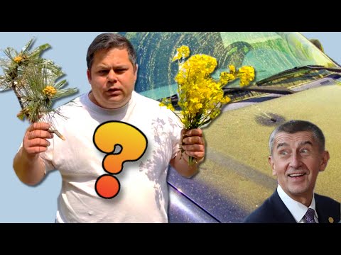 Video: Odkud pocházejí borovice?