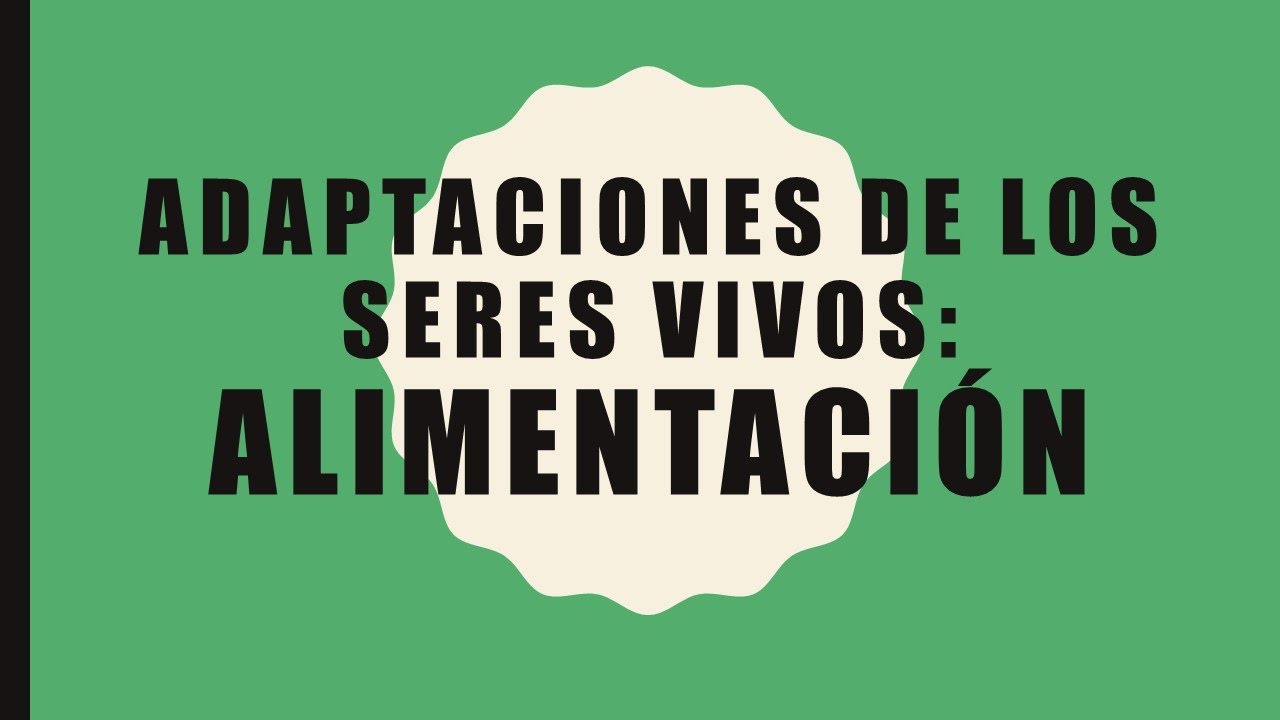 Adaptaciones De Los Seres Vivos Alimentación Youtube