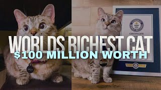 Worlds Richest Cat With $100 Million Worth | Most Followed Cat on Instagram | Nala Cat | BusinessCat