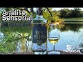 Análise sensorial cachaça Três Pedras - Araribá