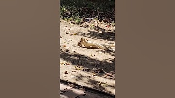 Guru Nanak Dev University..❤ #amritsar #gnduamritsar #viral #yaari #best #new #study