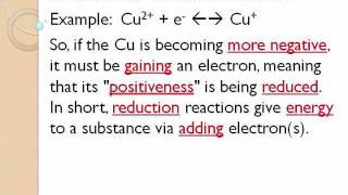Biology; Lesson 11 part 1.wmv screenshot 4