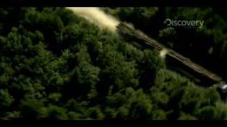 American Loggers: Monster Hauler