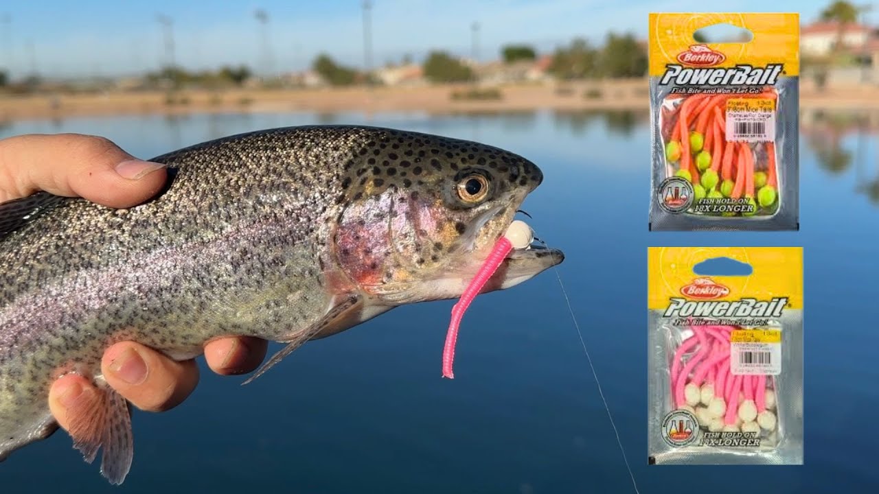 Berkley Mice Tails SLAY Stocked Trout! (2 Methods to Use) 