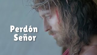 Perdón Señor | Misericordia Señor hemos pecado by Cantemos al Amor de los amores 16,481 views 1 year ago 3 minutes, 48 seconds