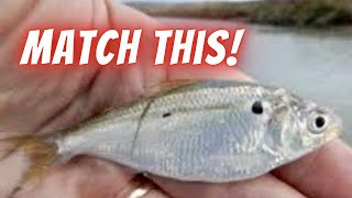 Top 5 Fall Bass Fishing Baits For Lake Fork! Efficiency  and Versatility are the keys during fall!!!