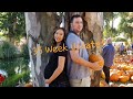 35 Week Pregnancy Update